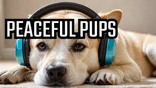 Anxiety Relief for Dogs Through Music [upl. by Itak]