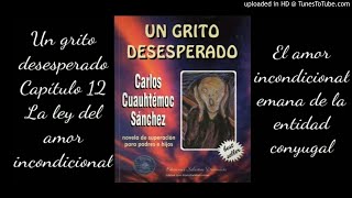 Capítulo 12 Un grito desesperado [upl. by Ocire992]