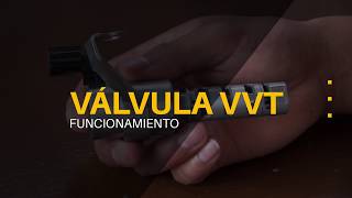 ¿Cómo funcionan las Válvulas VVTI [upl. by Maurili]