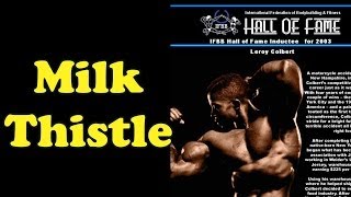 Milk Thistle  Bodybuilding Tips To Get Big [upl. by Attennyl8]