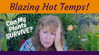 EXTREME HEAT Gardening  7 Ways to Keep Your Garden Happy in High Temps [upl. by Ttayh]