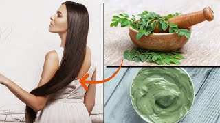 How to Make Your Hair GROW FASTER With MORINGA POWDER [upl. by Dao]