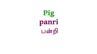 How to pronounce Pig in Tamil [upl. by Eradis]