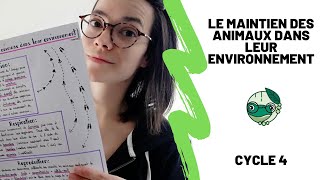 Le maintien des animaux dans leur environnement  5ème  Madame SVT [upl. by Htims]