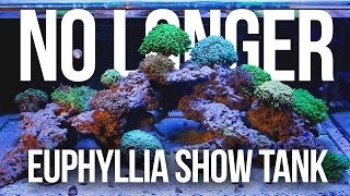 The DEFINITELY NOT Euphyllia Show Tank [upl. by Odlamur]