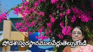 Nvs757 షోడశస్వరస్ధానములు 16వాటిపేర్లు సమానమైన స్వర స్థానముల పేర్లు తెలుసుకోండి [upl. by Atsirk820]