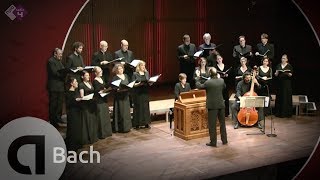 JS Bach Motet BWV 229 Komm Jesu komm  Vocalconsort Berlin [upl. by Renata]