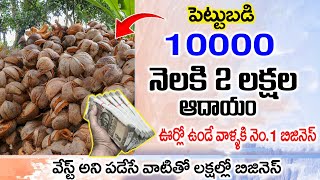 ఏడాదిలోనే లక్షలు సంపాదించే బిజినెస్  Best Business Idea In Telugu  Coconut Charcoal Business [upl. by Halludba]