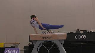 Stephen Nedoroscik  Pommel Horse  2024 Winter Cup  Men Day 2 [upl. by Linoel]