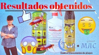 Infestación severa de cucarachas con Insecticidas de libre venta¿En realidad son efectivos [upl. by Sanford]