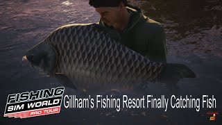 Gillhams Fishing Resort Finally Catching Fish Bait Selection Update ¦ Fishing Sim World Pro Tour [upl. by Lenore]