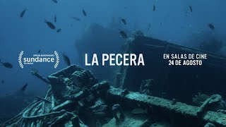 La Pecera Trailer Oficial [upl. by Imef]