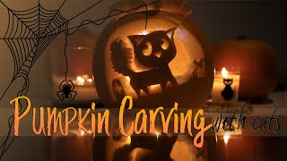 MEOWLOWEEN Pumpkin carving CAT STYLE  Halloween 2020  Ragdolls Pixie and Bluebell [upl. by Ennairac921]