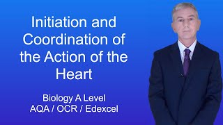 A Level Biology Revision quotInitiation and Coordination of the Action of the Heartquot [upl. by Gui]