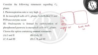 Consider the following statements regarding C4 plants\nI Photorespiration rate is very high\n [upl. by Ainar]