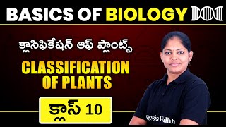 CLASSIFICATION OF PLANTS  Basics Of Biology  Class 10  Telugu [upl. by Novehs]