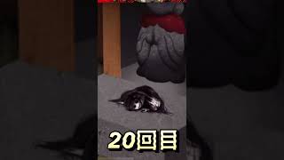 続444回目のただいま 19回目 20回目 人形が顔だけになっちゃった お地蔵さんに頼む 悪霊退散 444回目のただいまホラーゲーム実況プレイ [upl. by Adnahcir]