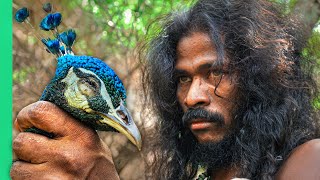 Sri Lankan Tribe Hunts Peacock 24 Hours With the Vedda [upl. by Eesdnyl]