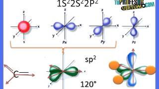 Hibridación de los Orbitales del Átomo de Carbono  Lección Teórica [upl. by Talanian714]