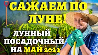 ТОЧНЫЙ ЛУННЫЙ ПОСЕВНОЙ КАЛЕНДАРЬ НА МАЙ 2022 по дням лунныйпосевнойкалендарь [upl. by Alilak]