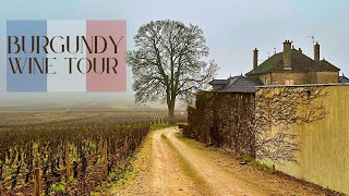 Burgundy France Wine Tour  Best Pinot Noir amp Chardonnay In The World [upl. by Nyra]