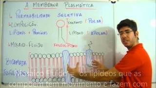 AULA BIOLOGIA FUNDAMENTOS DE BIOLOGIA CELULAR FEV 13 PROF FELIPE JARDIM [upl. by Georgeta]