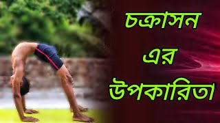 How To Do chakrasana  চক্রাসন উপকরিত  yoga in bengali [upl. by Legir]