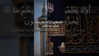 Surah Baqarah 7677 Tilawat youtubeshorts trending shorts viral islam trending youtube quran [upl. by Bang323]