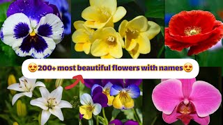 200 most beautiful flowers with names  flowers names in english [upl. by Oileve]