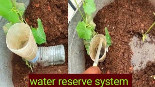 Plastic Bottle Deep Irrigation System Very Simple Easy [upl. by Eadrahc146]