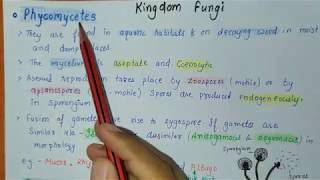 KINGDOM FUNGI PART2  BIOLOGICAL CLASSIFICATION  BIOLOGY CLASS 11 [upl. by Mauro]