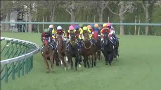 20180408 Oka Sho Japanese 1000 Guineas  Almond Eye [upl. by Ianahs752]