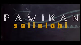 Pawikan  Salinlahi Official Music Video [upl. by Ives]