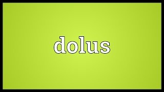 Dolus Meaning [upl. by Ahsenat]