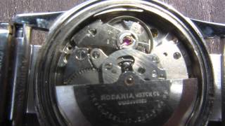 Rodania automatic mechanical watch work with tick [upl. by Weisberg359]