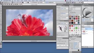 Corel Painter 2018 Digital Art Software NEW Cloning Enhancements [upl. by Akinohs]