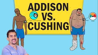 Addisons vs Cushings Disease for NCLEX RN [upl. by Woolcott411]