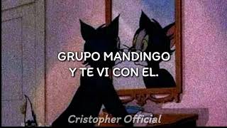 Grupo Mandingo  Y te vi con el Letra [upl. by Drarrej]