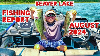 Expert advice on August 2024 Beaver Lake fishing [upl. by Ulphiah]