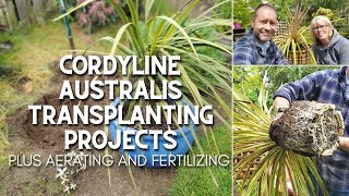 Cordyline Australis Transplanting Projects 🌴😲 [upl. by Miguela67]