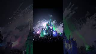 Disneyland Fireworks 🎇 Happy new year fireworks countdown2024 2024fireworks [upl. by Tihom421]