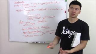 USMLE Neurology 3 Neuroanatomy Nerves Neurotransmitters and Cutaneous Receptors [upl. by Rodrick]