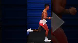 How to Target GLUTES vs QUADS Bulgarian Split Squat [upl. by Busby616]