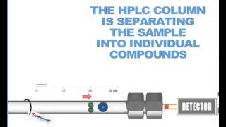 How HPLC Columns Work [upl. by Buseck245]