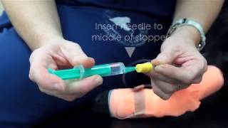 Intravenous Cathether Placement Emergency Medicine In Small Animal Practice [upl. by Hibbs852]