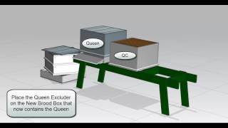 Swarm Control using the Demaree Method [upl. by Ahselaf]