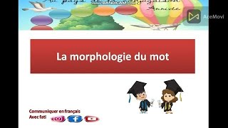 la morphologie du mot [upl. by Trebla233]