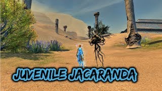 Guild Wars 2 Path of Fire  Soulbeast Pet  Juvenile Jacaranda Location [upl. by Popele]