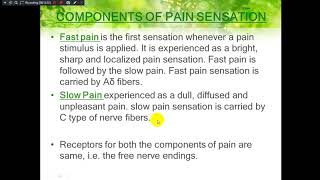 Mechanism of touch temperature amp pain [upl. by Clarinda]