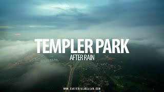 TEMPLER PARK  Aerial Shot after Rain [upl. by Chelsey]